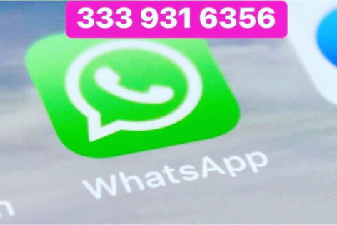 333 9316356