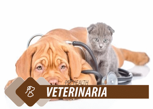 Veterinaria